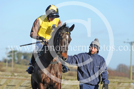 RRC18_0009 copy