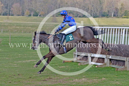DoB22_0123 copy