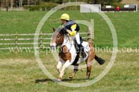 FI15_050 copy