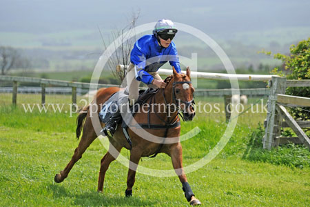 Hay22_0009 copy