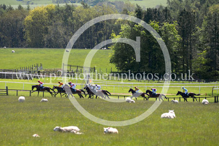 HAY23_0025 copy