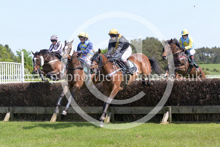 HAY23_0030 copy