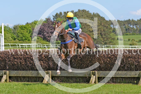 HAY23_0107 copy