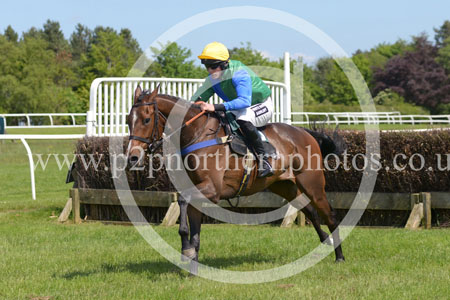 HAY23_0110 copy