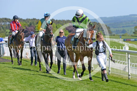 HAY23_0123 copy