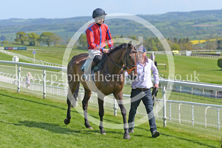 HAY23_0125 copy