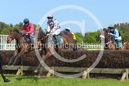 HAY23_0143 copy