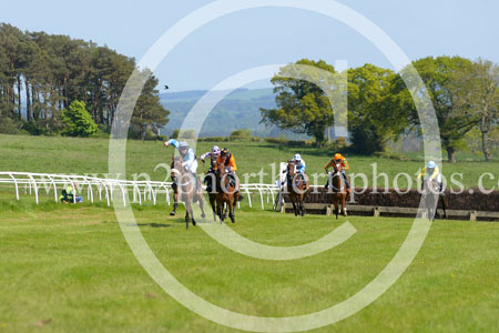 HAY23_0153 copy