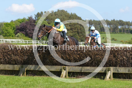 HAY23_0163 copy