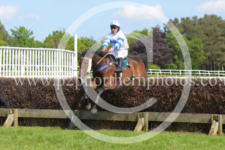 HAY23_0166 copy