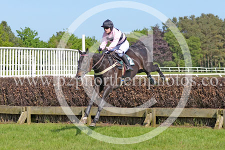 HAY23_0195 copy