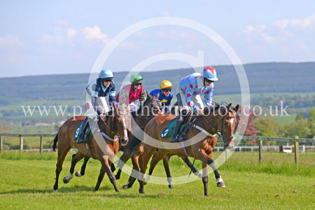 HAY23_0224 copy