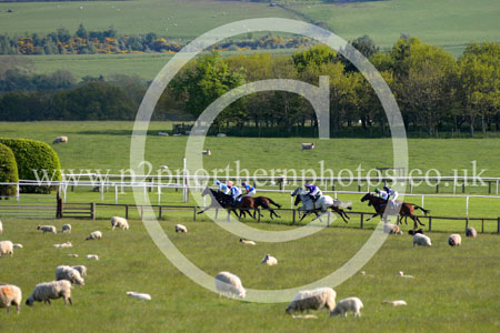 HAY23_0323 copy
