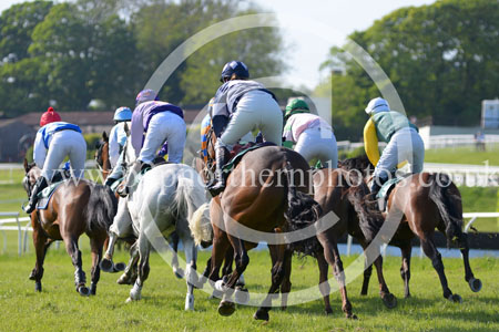 HAY23_0336 copy