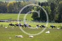 HAY23_0025 copy