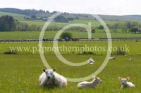 HAY23_0136 copy