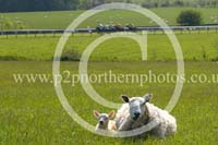 HAY23_0151 copy