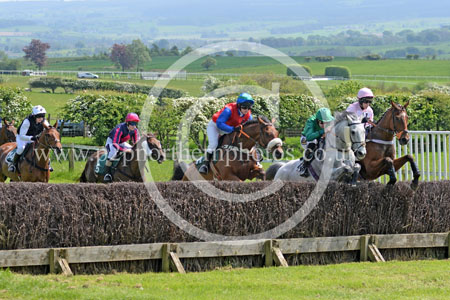 Hay24_0005 copy