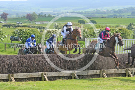 Hay24_0010 copy