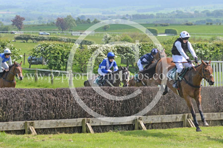 Hay24_0012 copy