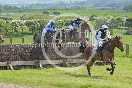 Hay24_0014 copy