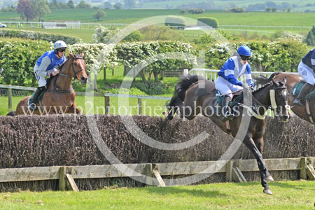 Hay24_0015 copy