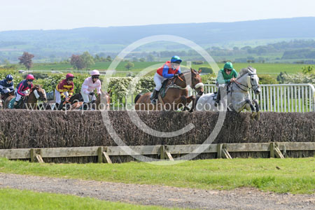 Hay24_0025 copy