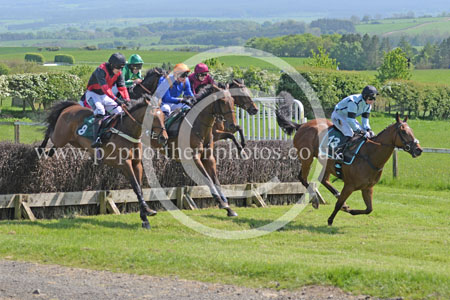 Hay24_0099 copy