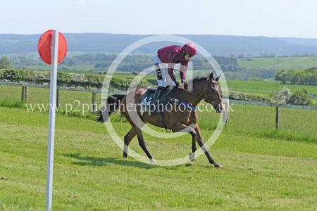 Hay24_0117 copy