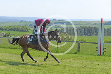 Hay24_0120 copy