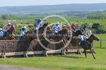 Hay24_0145 copy