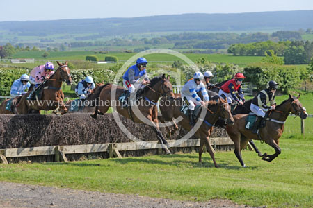 Hay24_0146 copy