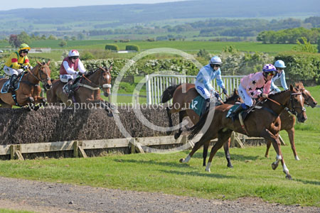 Hay24_0150 copy