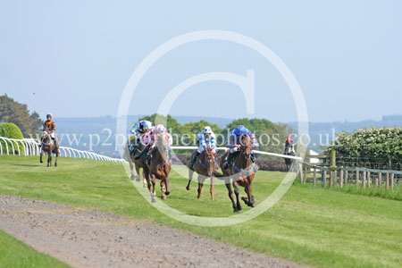 Hay24_0155 copy