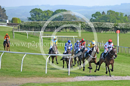 Hay24_0183 copy