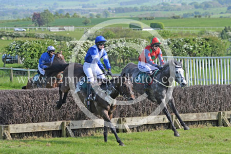 Hay24_0193 copy