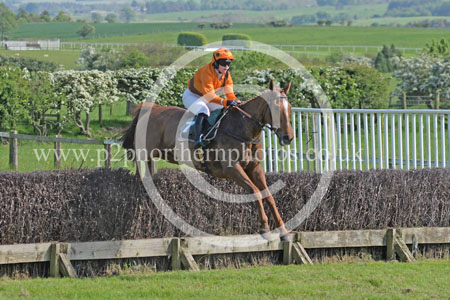Hay24_0203 copy