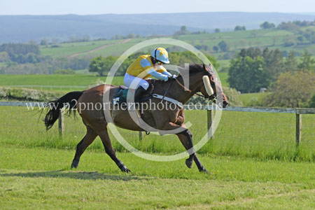 Hay24_0216 copy