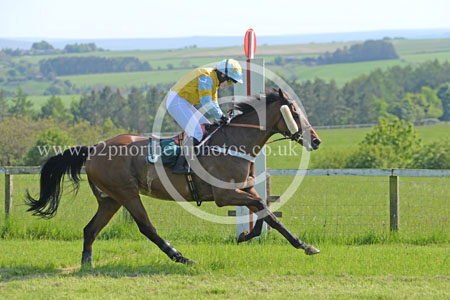 Hay24_0219 copy