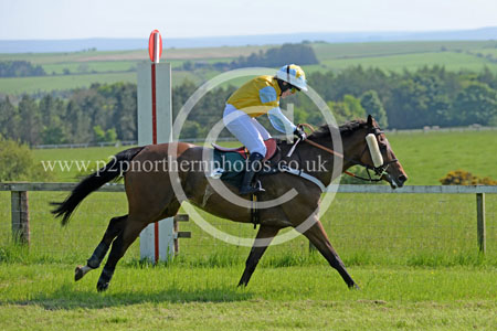 Hay24_0220 copy