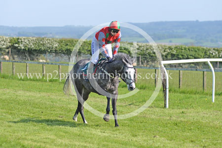 Hay24_0223 copy