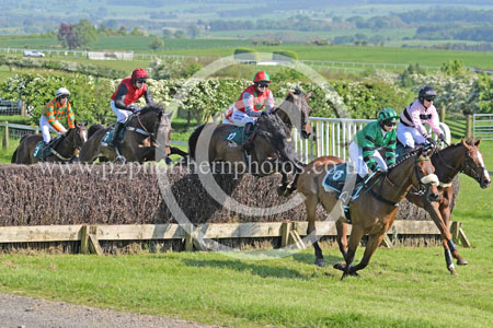 Hay24_0272 copy