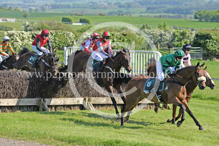 Hay24_0273 copy