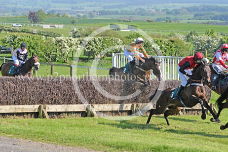 Hay24_0276 copy