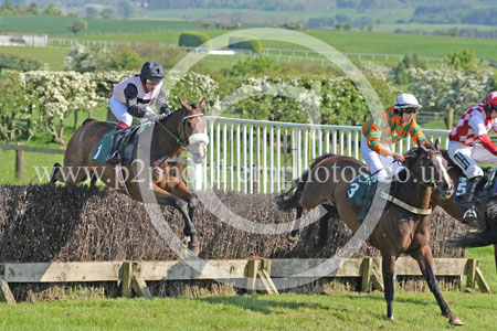 Hay24_0289 copy