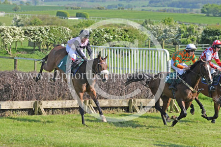 Hay24_0290 copy