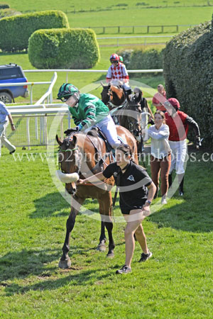 Hay24_0310 copy