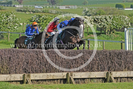 Hay24_0359 copy