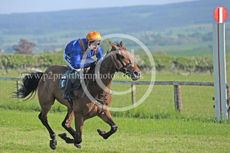 Hay24_0389 copy