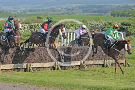 Hay24_0432 copy